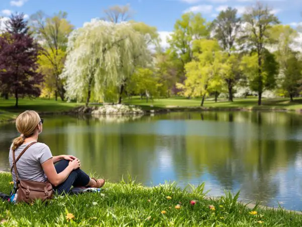 Reflection_in_Nature_Scene