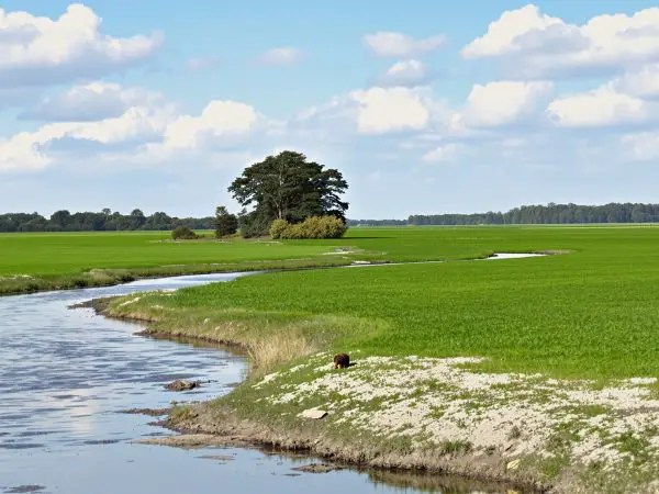 Réhabilitation_écologique_Lincolnshire