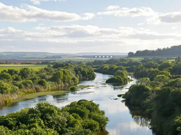 RenouveauEcologiqueLincolnshire