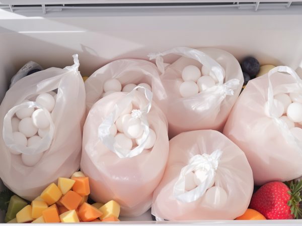 congelateur_sacs_glace