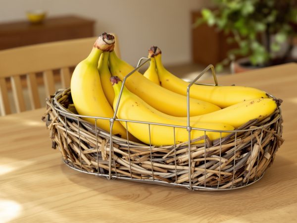conservation_bananes