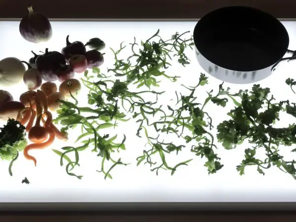 Cuisine zéro déchet