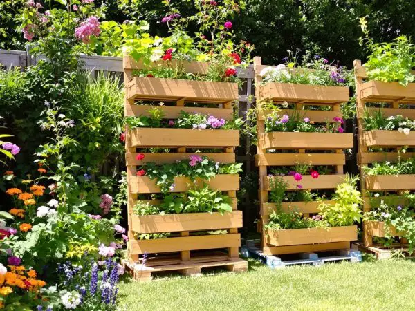 jardin_palettes_fleuries