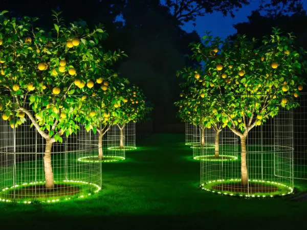 jardin_protection_écologique