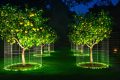 Comment protéger votre jardin des écureuils sans nuire à l’environnement