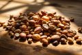 Sélénium : le micro-nutriment miracle pour protéger cerveau, cœur et immunité