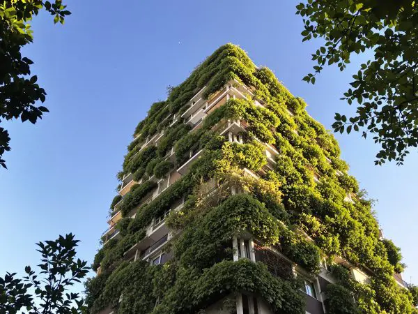 paysage-immeuble-urbain