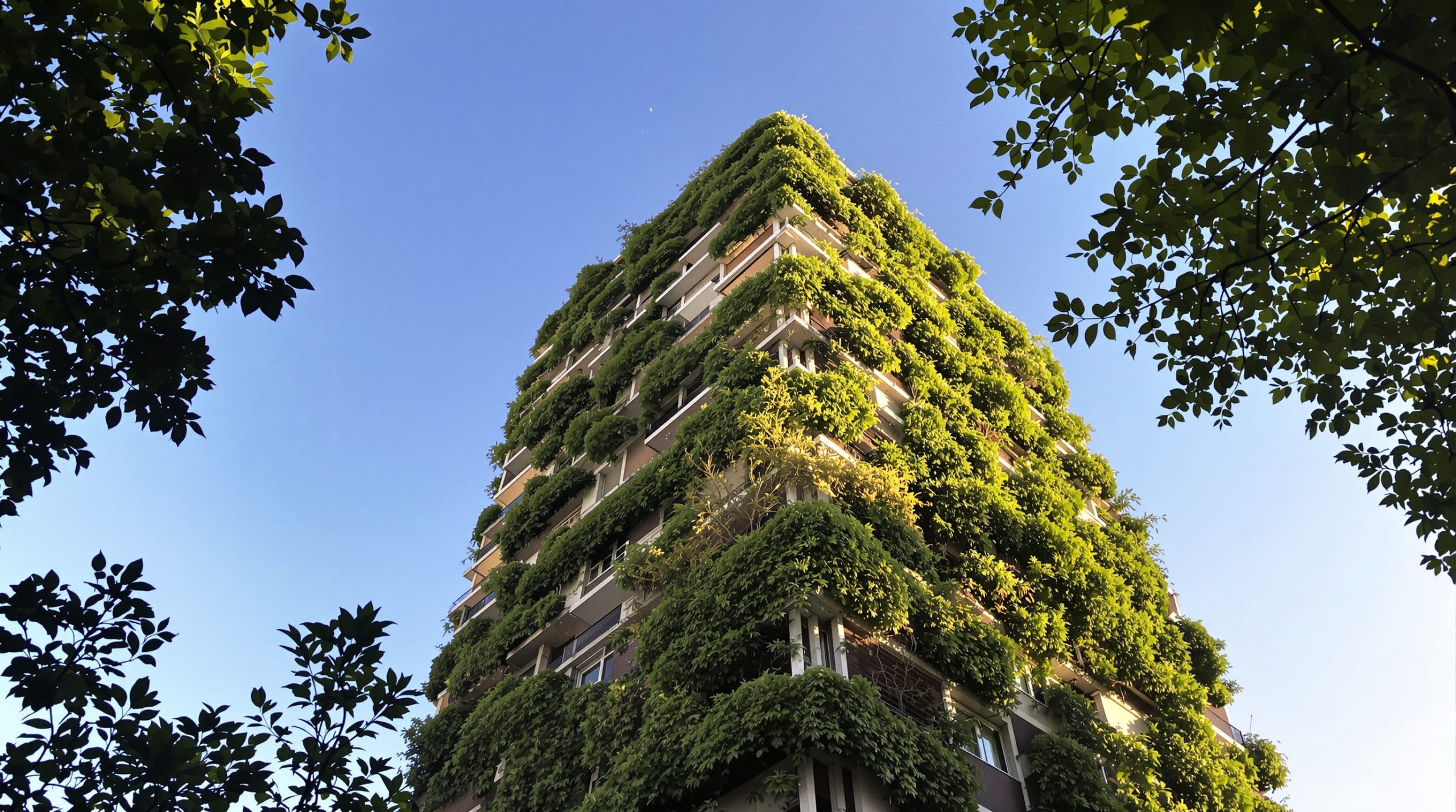 paysage-immeuble-urbain