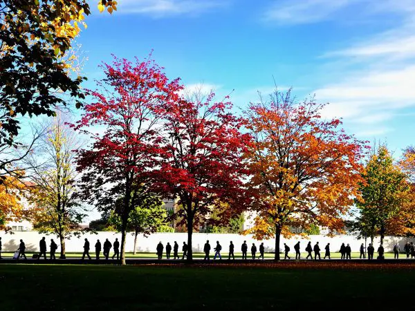 retraités_parc_automne