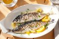 Sardines : le super-aliment économique qui booste votre santé cardiaque